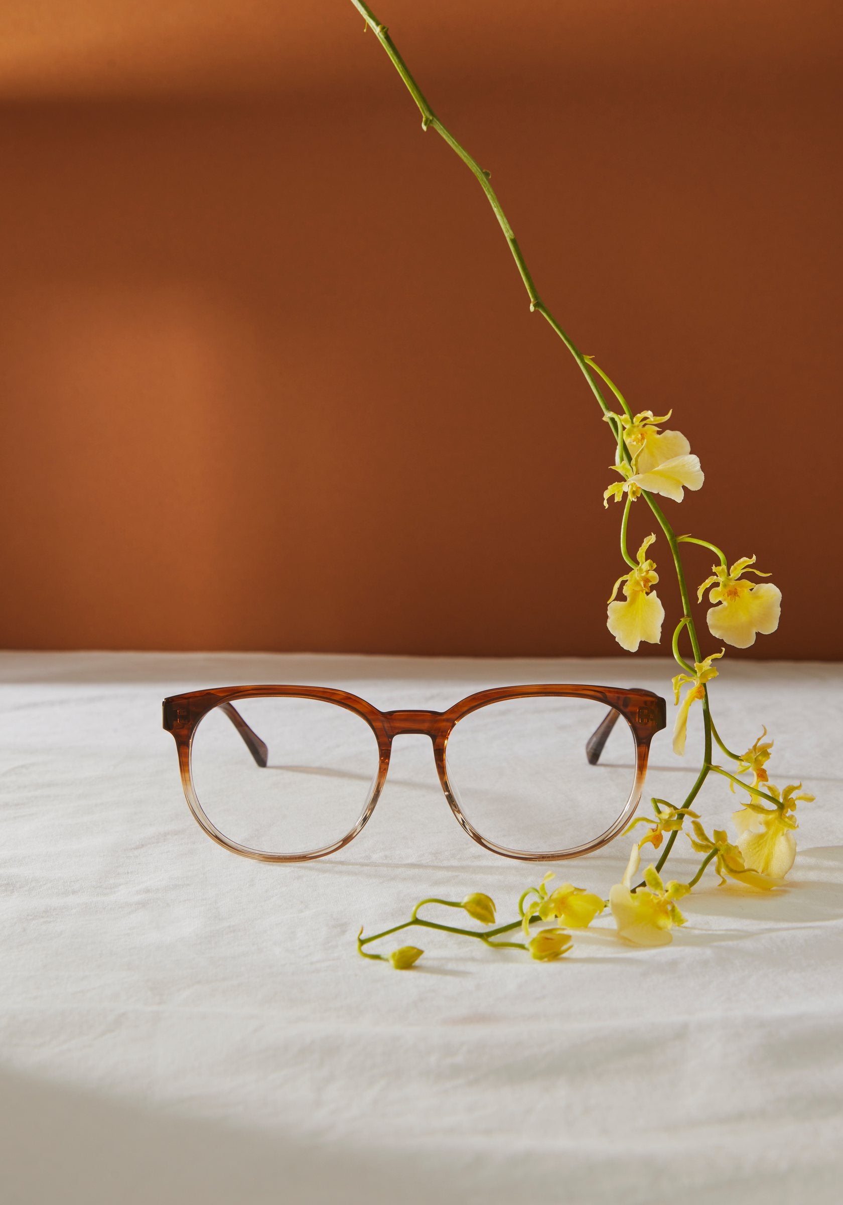 A pair of brown gradient glasses on white linen against a rust coloured wall, with a stem of yellow orchids sweeping in from above.