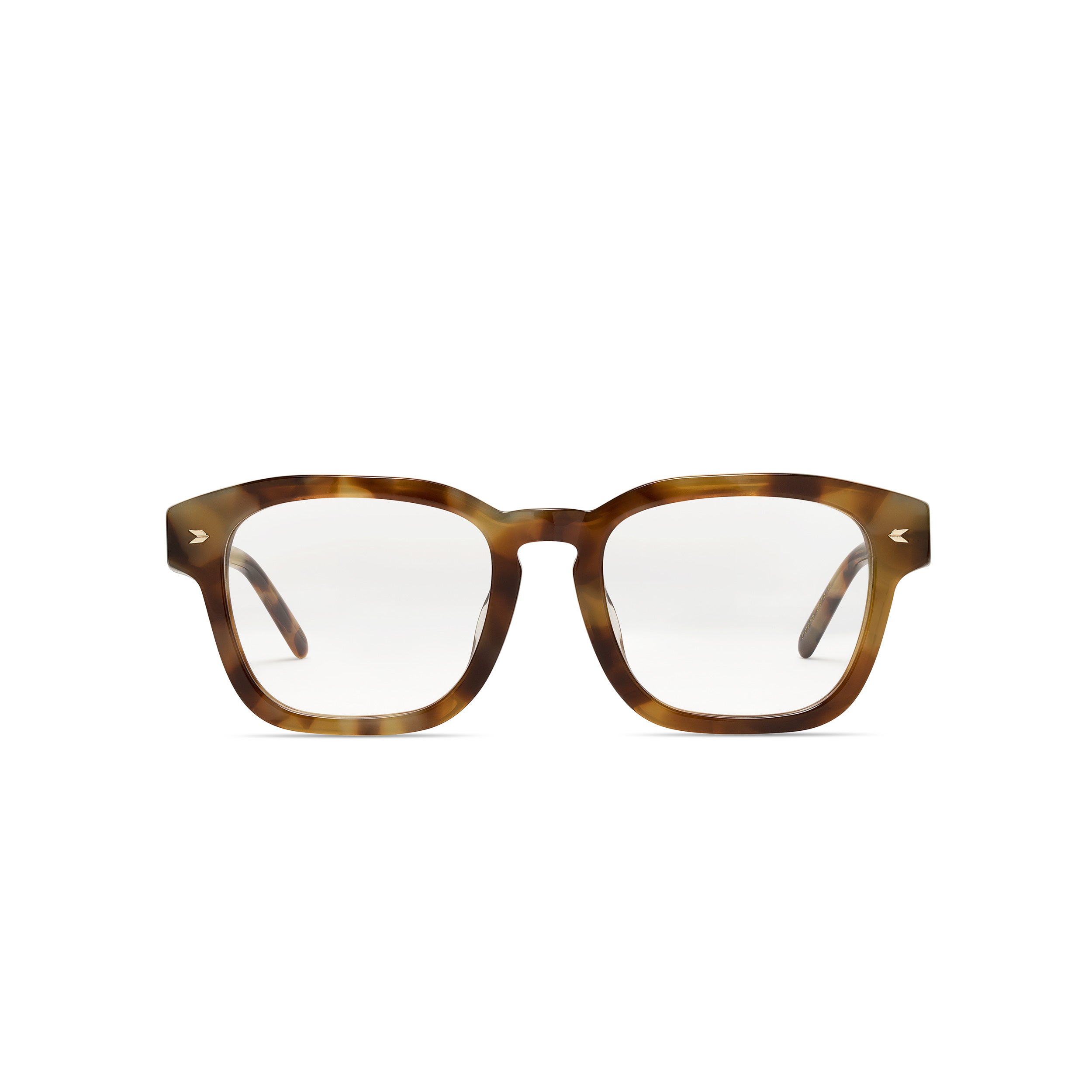 Aster Rust