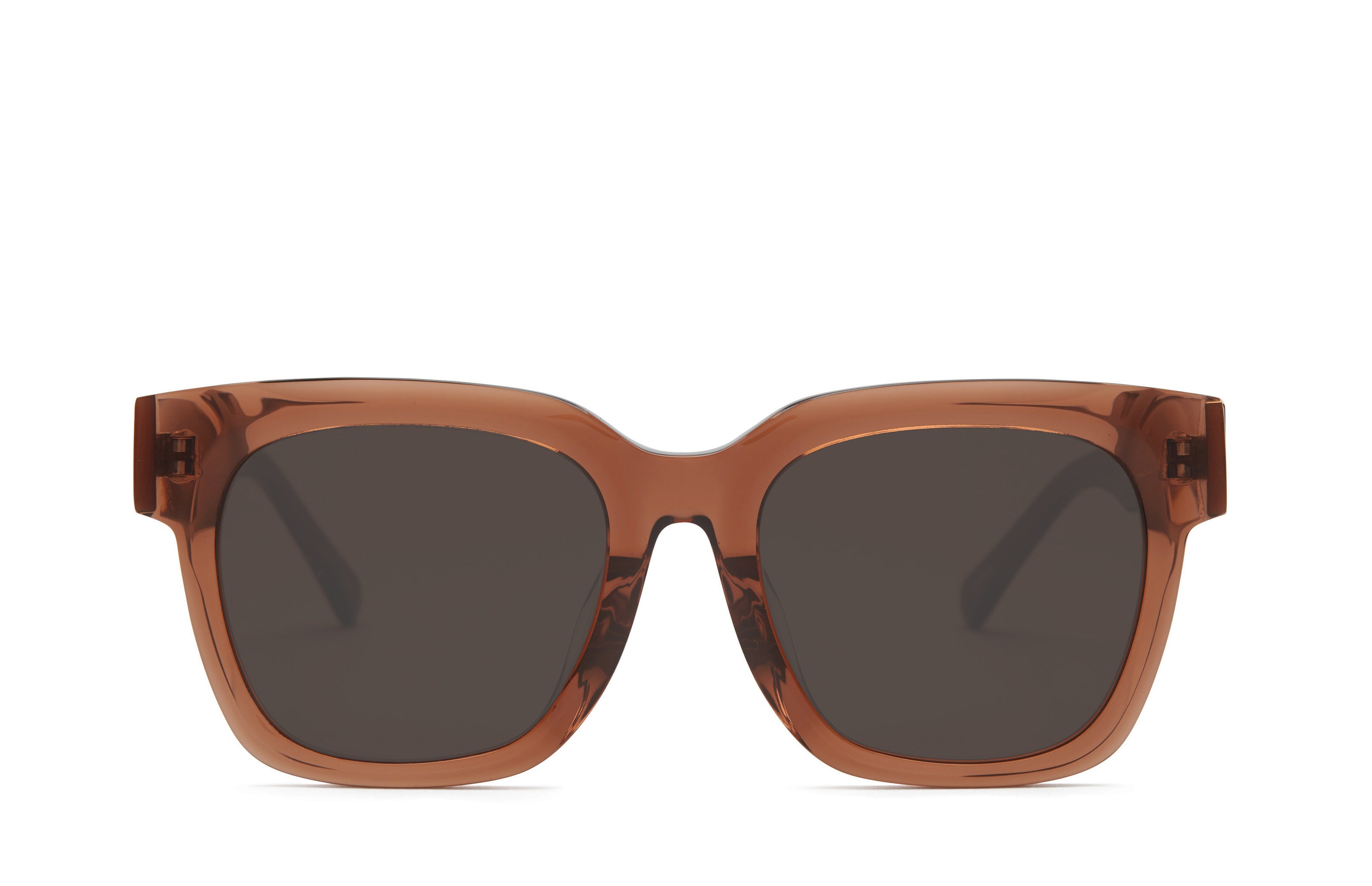 Mオニゴーリ、Mハガネール MERAK Honey Large Sunglass for Low Bridge I COVRY